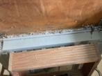 Bild - Reihenmittelhaus mit separater Garage