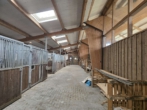 PNCU6931 - „Traumhaftes Pferdegestüt mit Reetdachhaus, Reithalle uvm. – Ihre eigene Oase für Pferdeliebhaber!“